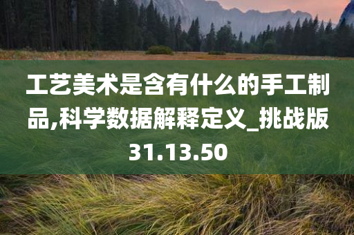 工艺美术是含有什么的手工制品,科学数据解释定义_挑战版31.13.50