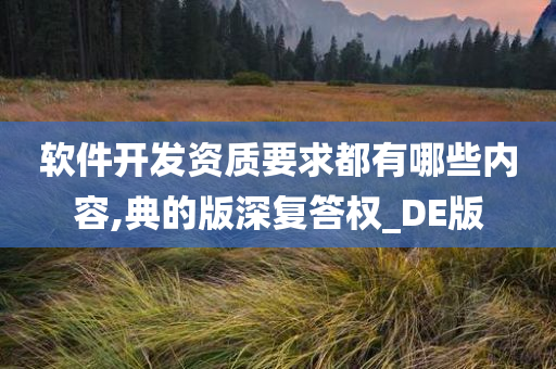 软件开发资质要求都有哪些内容,典的版深复答权_DE版