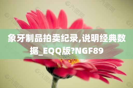 象牙制品拍卖纪录,说明经典数据_EQQ版?NGF89