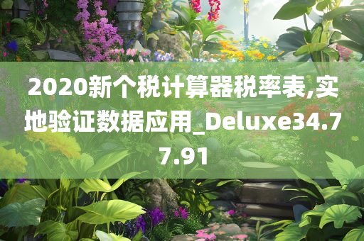 2020新个税计算器税率表,实地验证数据应用_Deluxe34.77.91