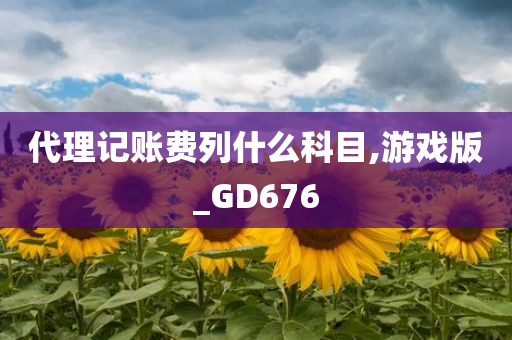 代理记账费列什么科目,游戏版_GD676