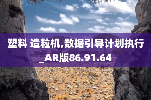 塑料 造粒机,数据引导计划执行_AR版86.91.64