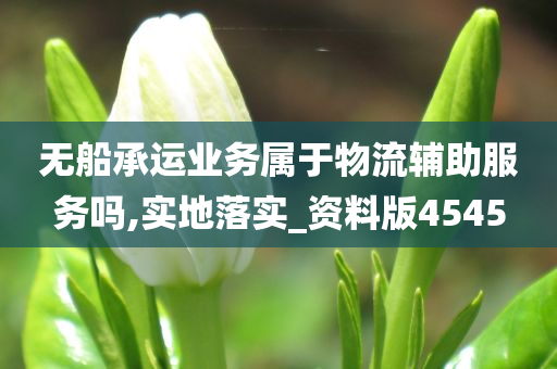 无船承运业务属于物流辅助服务吗,实地落实_资料版4545