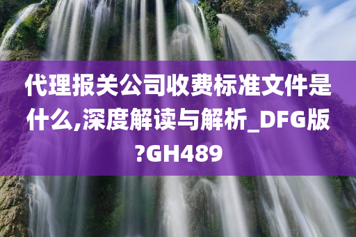 代理报关公司收费标准文件是什么,深度解读与解析_DFG版?GH489