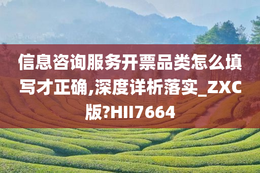 信息咨询服务开票品类怎么填写才正确,深度详析落实_ZXC版?HII7664