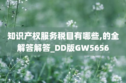 知识产权服务税目有哪些,的全解答解答_DD版GW5656