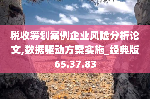 税收筹划案例企业风险分析论文,数据驱动方案实施_经典版65.37.83