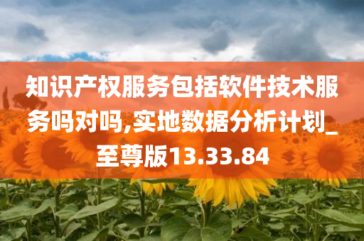 知识产权服务包括软件技术服务吗对吗,实地数据分析计划_至尊版13.33.84