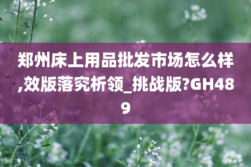 郑州床上用品批发市场怎么样,效版落究析领_挑战版?GH489