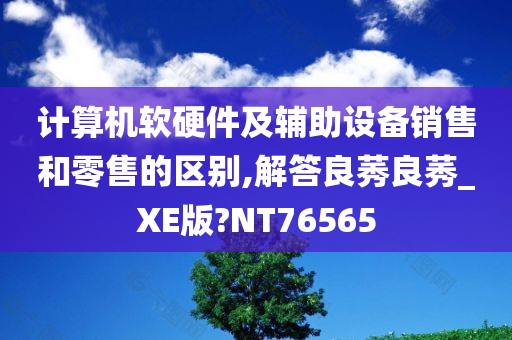 计算机软硬件及辅助设备销售和零售的区别,解答良莠良莠_XE版?NT76565