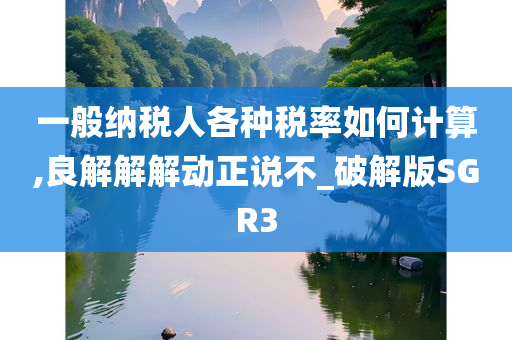 一般纳税人各种税率如何计算,良解解解动正说不_破解版SGR3