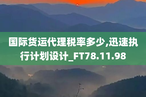 国际货运代理税率多少,迅速执行计划设计_FT78.11.98