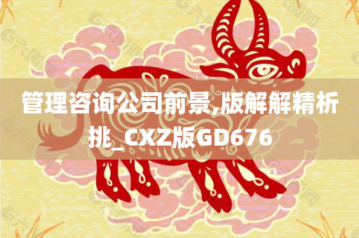 管理咨询公司前景,版解解精析挑_CXZ版GD676