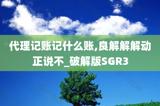 代理记账记什么账,良解解解动正说不_破解版SGR3