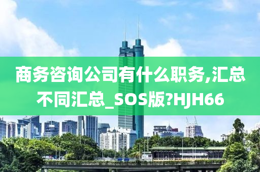 商务咨询公司有什么职务,汇总不同汇总_SOS版?HJH66