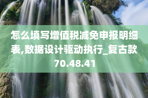 怎么填写增值税减免申报明细表,数据设计驱动执行_复古款70.48.41