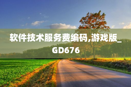 软件技术服务费编码,游戏版_GD676