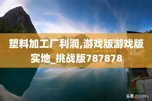 塑料加工厂利润,游戏版游戏版实地_挑战版787878