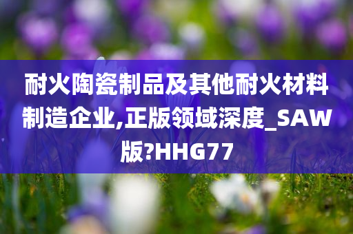 耐火陶瓷制品及其他耐火材料制造企业,正版领域深度_SAW版?HHG77