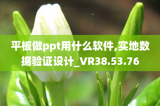 平板做ppt用什么软件,实地数据验证设计_VR38.53.76