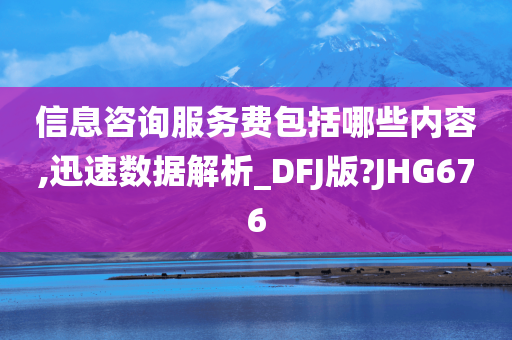 信息咨询服务费包括哪些内容,迅速数据解析_DFJ版?JHG676