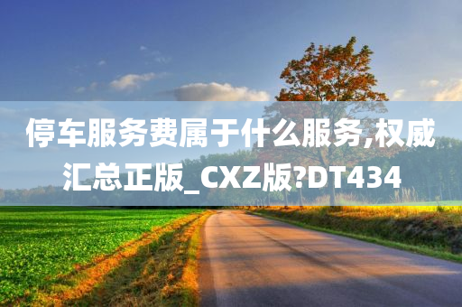 停车服务费属于什么服务,权威汇总正版_CXZ版?DT434