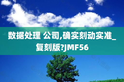 数据处理 公司,确实刻动实准_复刻版?JMF56