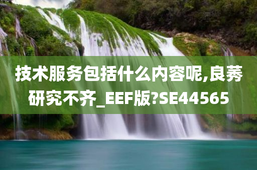 技术服务包括什么内容呢,良莠研究不齐_EEF版?SE44565