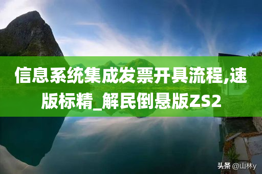 信息系统集成发票开具流程,速版标精_解民倒悬版ZS2