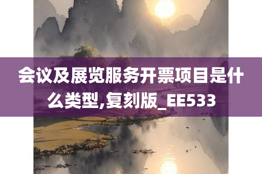 会议及展览服务开票项目是什么类型,复刻版_EE533