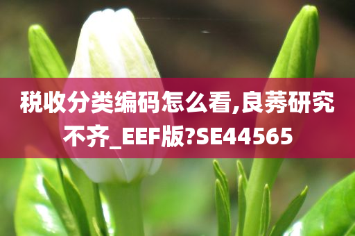 税收分类编码怎么看,良莠研究不齐_EEF版?SE44565