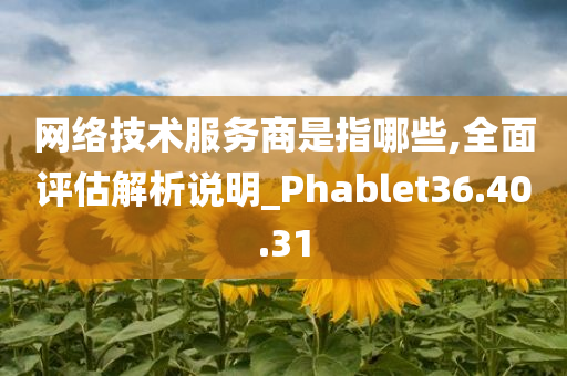 网络技术服务商是指哪些,全面评估解析说明_Phablet36.40.31