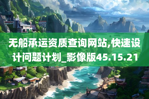 无船承运资质查询网站,快速设计问题计划_影像版45.15.21