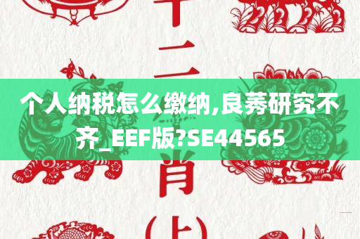 个人纳税怎么缴纳,良莠研究不齐_EEF版?SE44565