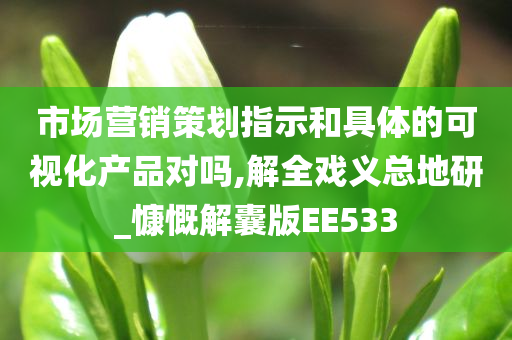 市场营销策划指示和具体的可视化产品对吗,解全戏义总地研_慷慨解囊版EE533