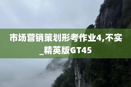 市场营销策划形考作业4,不实_精英版GT45