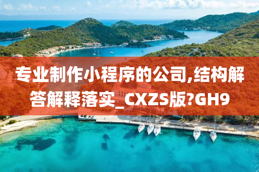 专业制作小程序的公司,结构解答解释落实_CXZS版?GH9