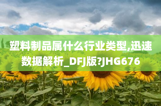 塑料制品属什么行业类型,迅速数据解析_DFJ版?JHG676