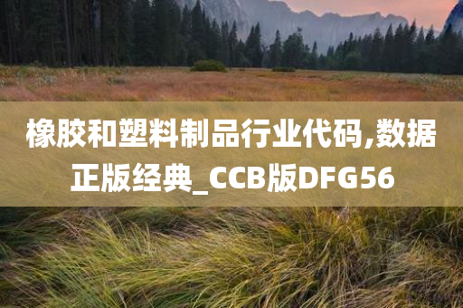 橡胶和塑料制品行业代码,数据正版经典_CCB版DFG56