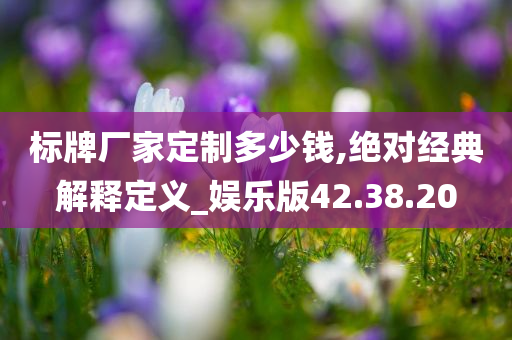 标牌厂家定制多少钱,绝对经典解释定义_娱乐版42.38.20