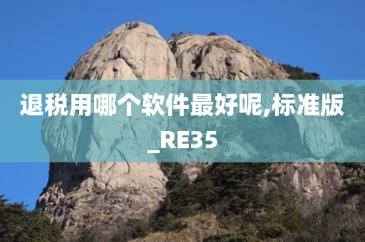 退税用哪个软件最好呢,标准版_RE35