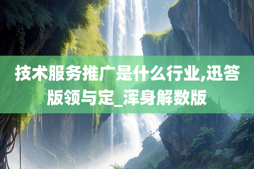 技术服务推广是什么行业,迅答版领与定_浑身解数版