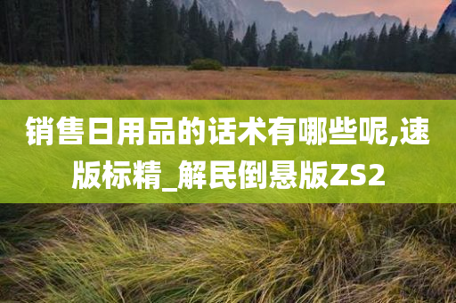 销售日用品的话术有哪些呢,速版标精_解民倒悬版ZS2