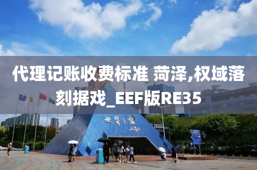 代理记账收费标准 菏泽,权域落刻据戏_EEF版RE35