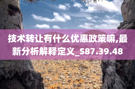 技术转让有什么优惠政策嘛,最新分析解释定义_S87.39.48