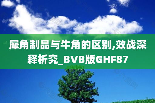 犀角制品与牛角的区别,效战深释析究_BVB版GHF87