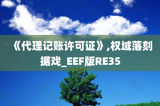 《代理记账许可证》,权域落刻据戏_EEF版RE35