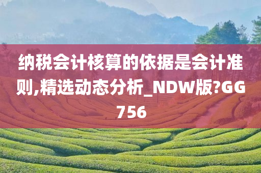 纳税会计核算的依据是会计准则,精选动态分析_NDW版?GG756