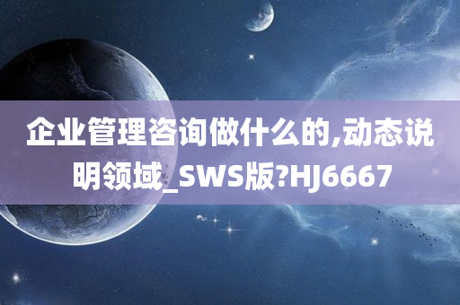 企业管理咨询做什么的,动态说明领域_SWS版?HJ6667