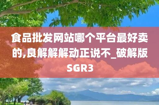 食品批发网站哪个平台最好卖的,良解解解动正说不_破解版SGR3